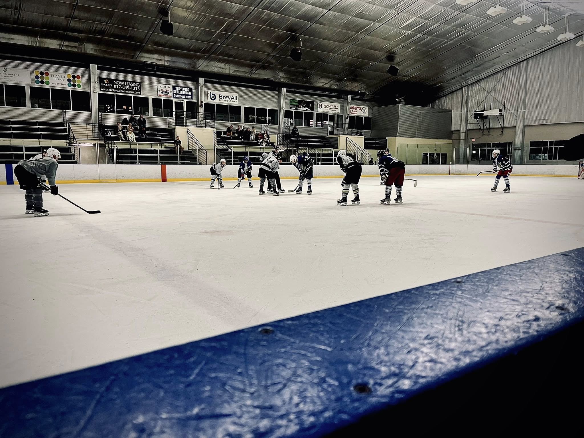 Panthers hockey team